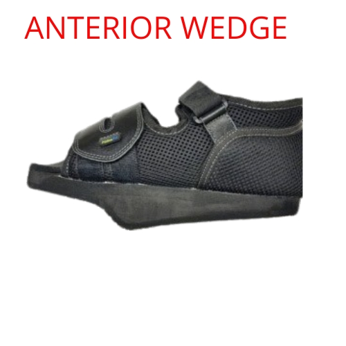 ANTERIOR WEDGE